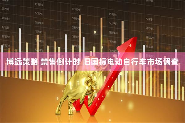 博远策略 禁售倒计时 旧国标电动自行车市场调查