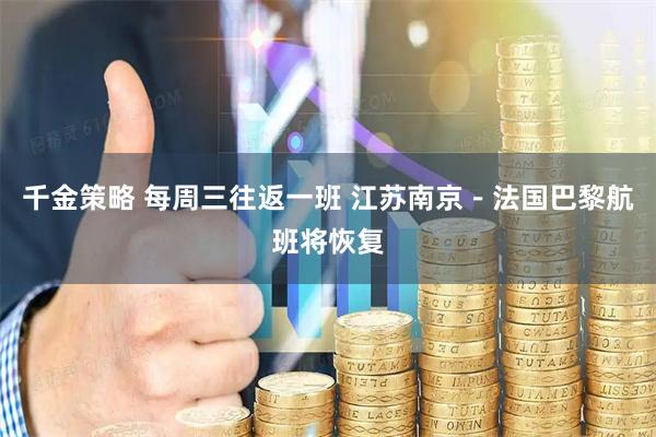 千金策略 每周三往返一班 江苏南京－法国巴黎航班将恢复