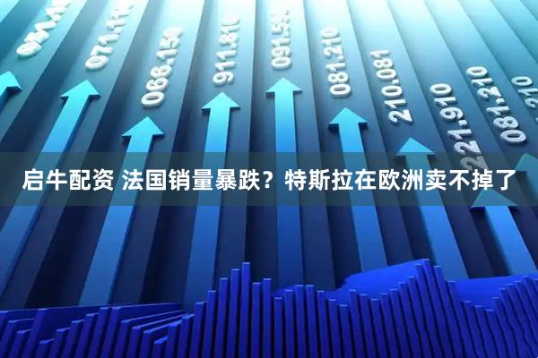 启牛配资 法国销量暴跌？特斯拉在欧洲卖不掉了