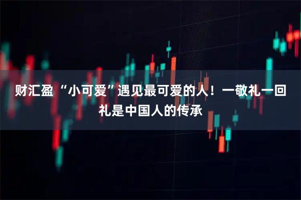 财汇盈 “小可爱”遇见最可爱的人！一敬礼一回礼是中国人的传承