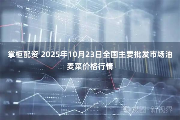 掌柜配资 2025年10月23日全国主要批发市场油麦菜价格行情