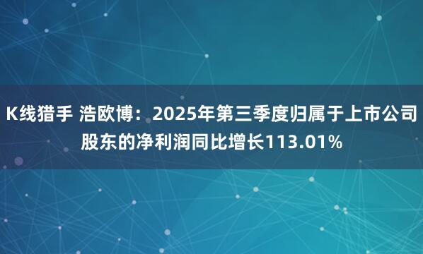 K线猎手 浩欧博：2025年第三季度归属于上市公司股东的净利润同比增长113.01%