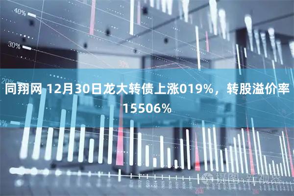 同翔网 12月30日龙大转债上涨019%，转股溢价率15506%