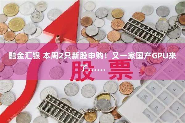 融金汇银 本周2只新股申购！又一家国产GPU来了……